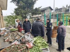 态化开展食物平安监管